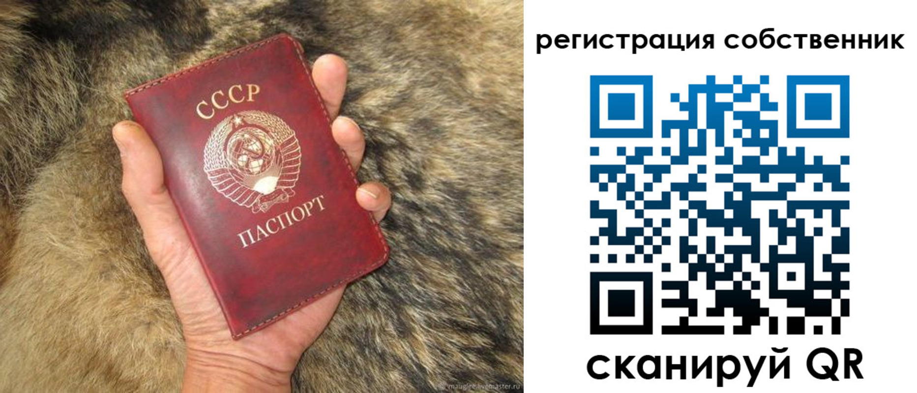 прописка поиск в Димитровграде